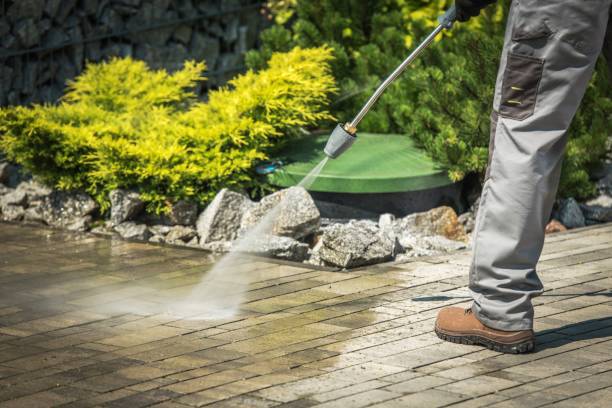 Best Post-Construction Pressure Washing  in Malone, FL