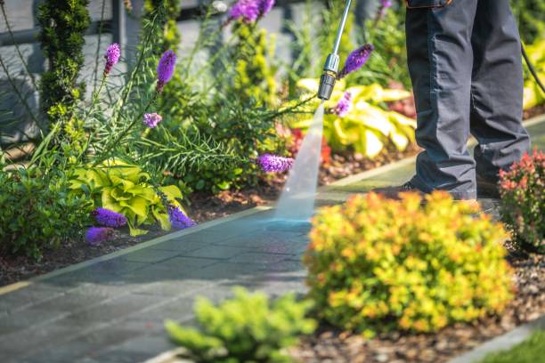 Best Animal Enclosure Cleaning  in Malone, FL