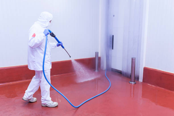 Best Concrete Sealing  in Malone, FL
