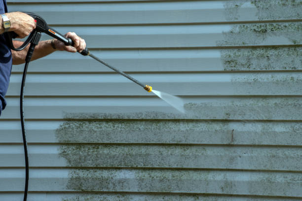 Best Sidewalk and Walkway Cleaning  in Malone, FL